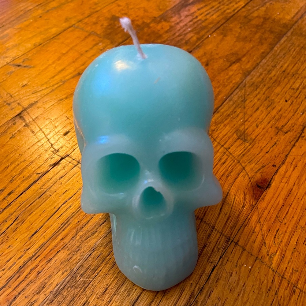 Skull candle NWT